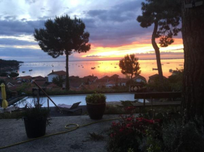 Villa des mimosas